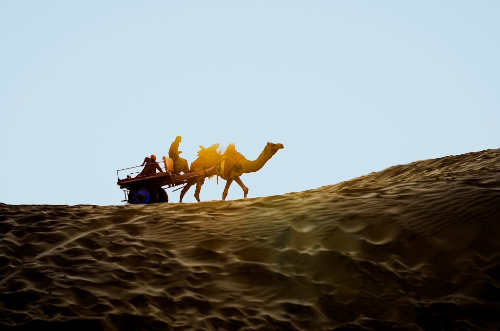 Rajasthan Thar Desert Camel Safari
